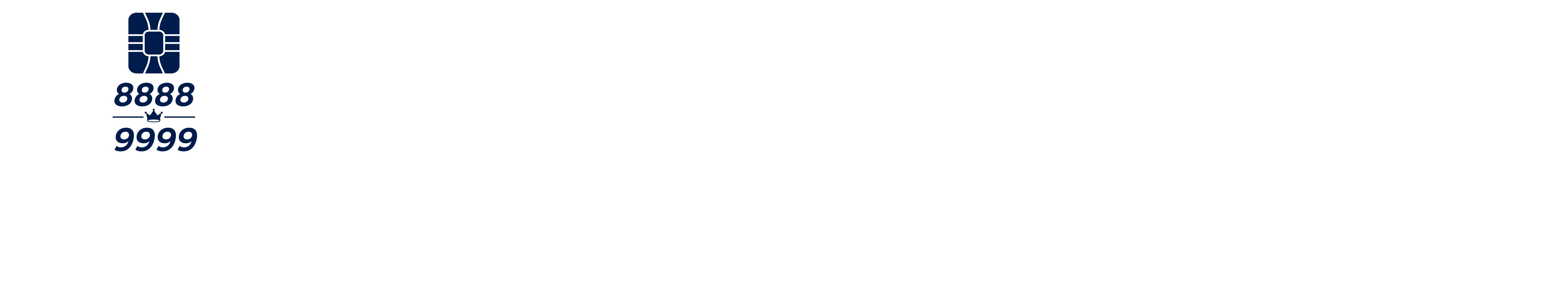 NUMBERSKART Logo